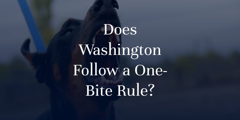 Does Washington Follow a One-Bite Rule?