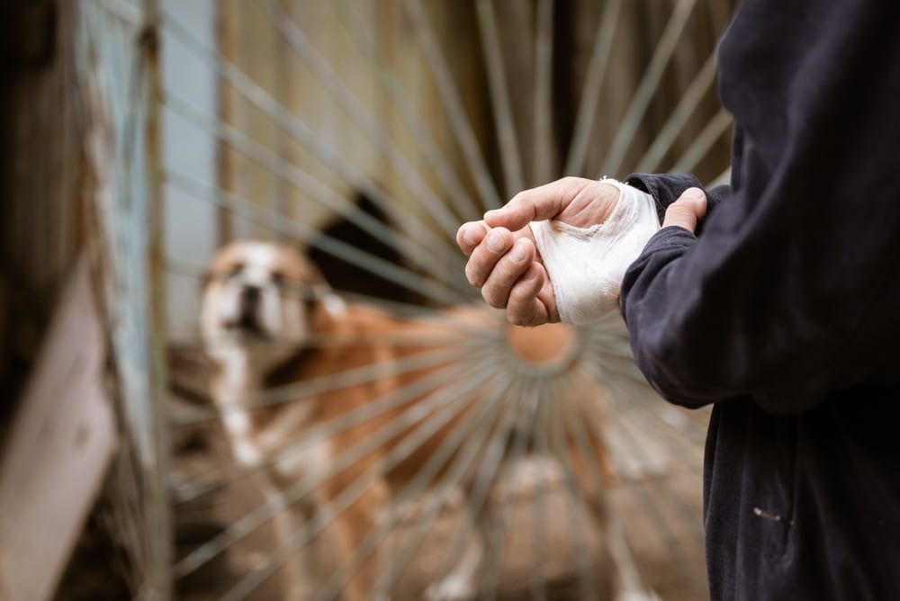how long does a dog bite lawsuit take